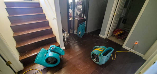 Best 24/7 water damage repair  in Port Arthur, TX