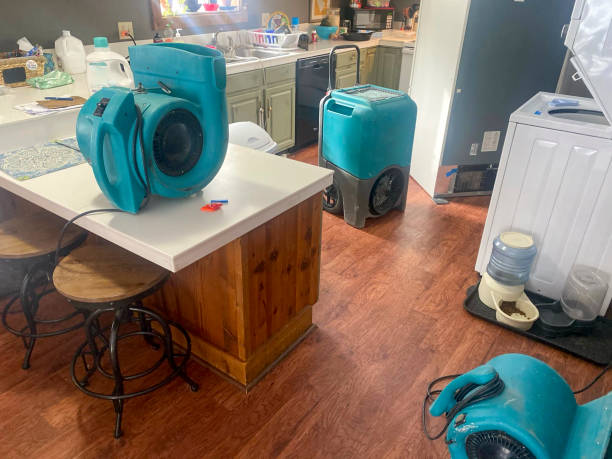 Best Water damage cleanup near me  in Port Arthur, TX