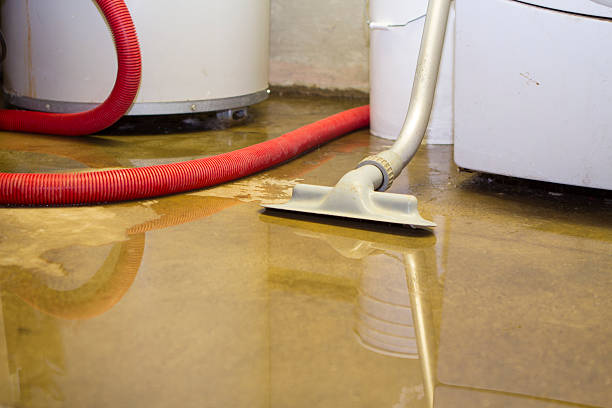 Best Basement water damage restoration  in Port Arthur, TX