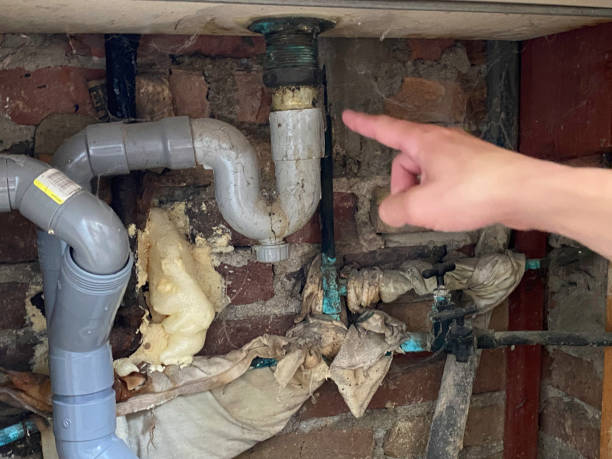 Best Fire Damage Restoration  in Port Arthur, TX