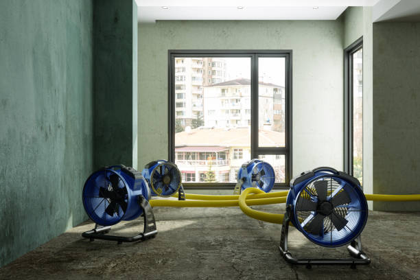  Port Arthur, TX Water damage restoration Pros